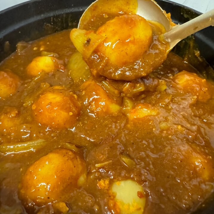 夏はやっぱりコレかな!元気が出るね☆ポークカレー